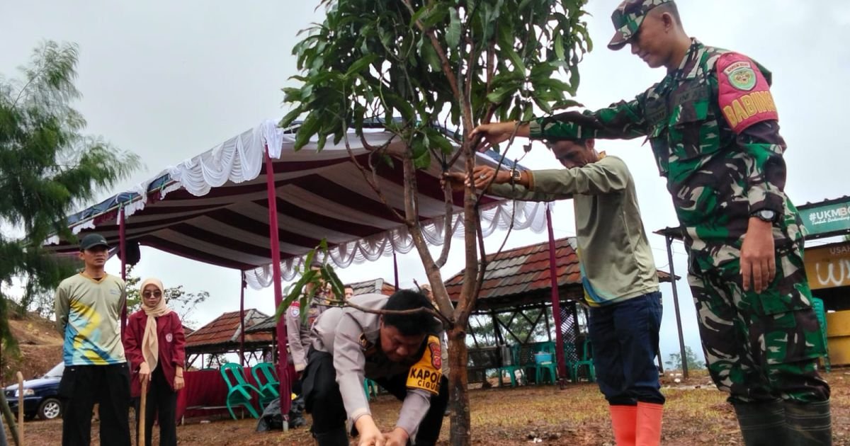 Selain Tanam Jagung, Pemdes Cileksa Kecamatan Sukajaya Tanami Pohon Demi Kelestarian Ekosistem Alam
