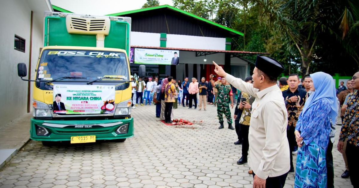 Didukung LPDB, Koperasi Subang Siap Kembangkan Ekspor Nanas hingga Rp20 Miliar