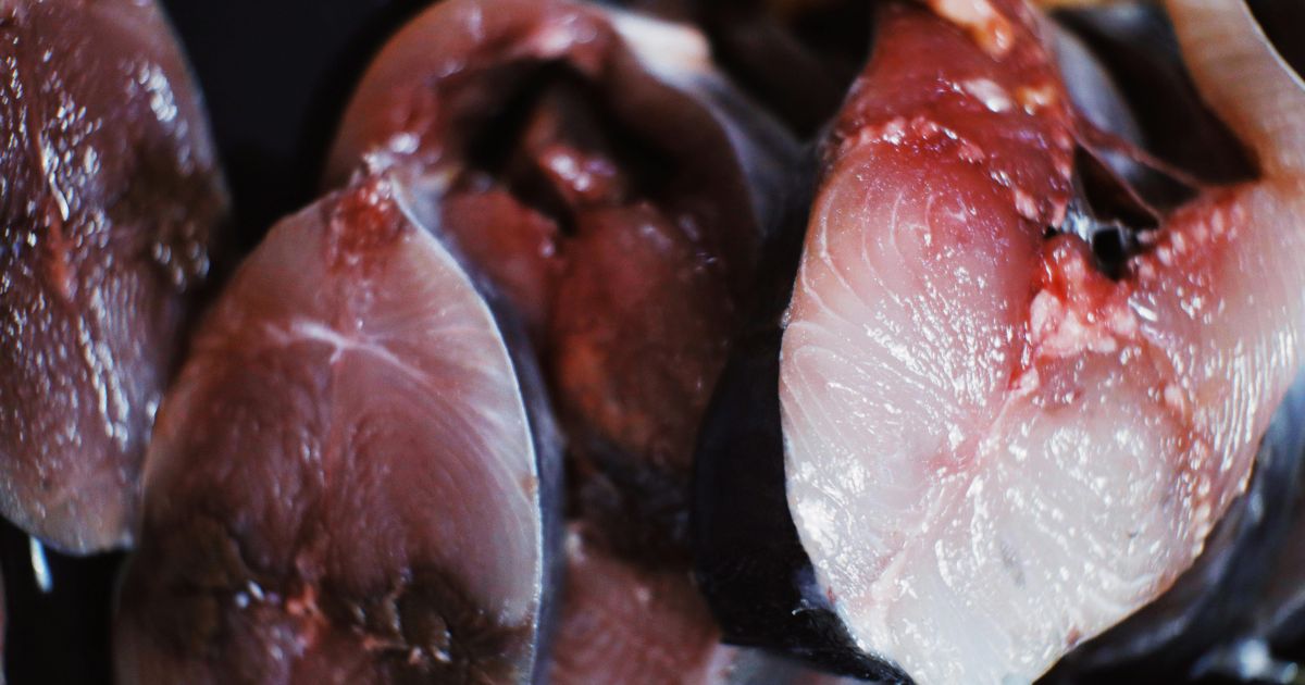 Terungkap! Menu Bergizi Program Makan Siang Sekolah: Klarifikasi Detail di Balik Isu Lele Mentah Pamekasan