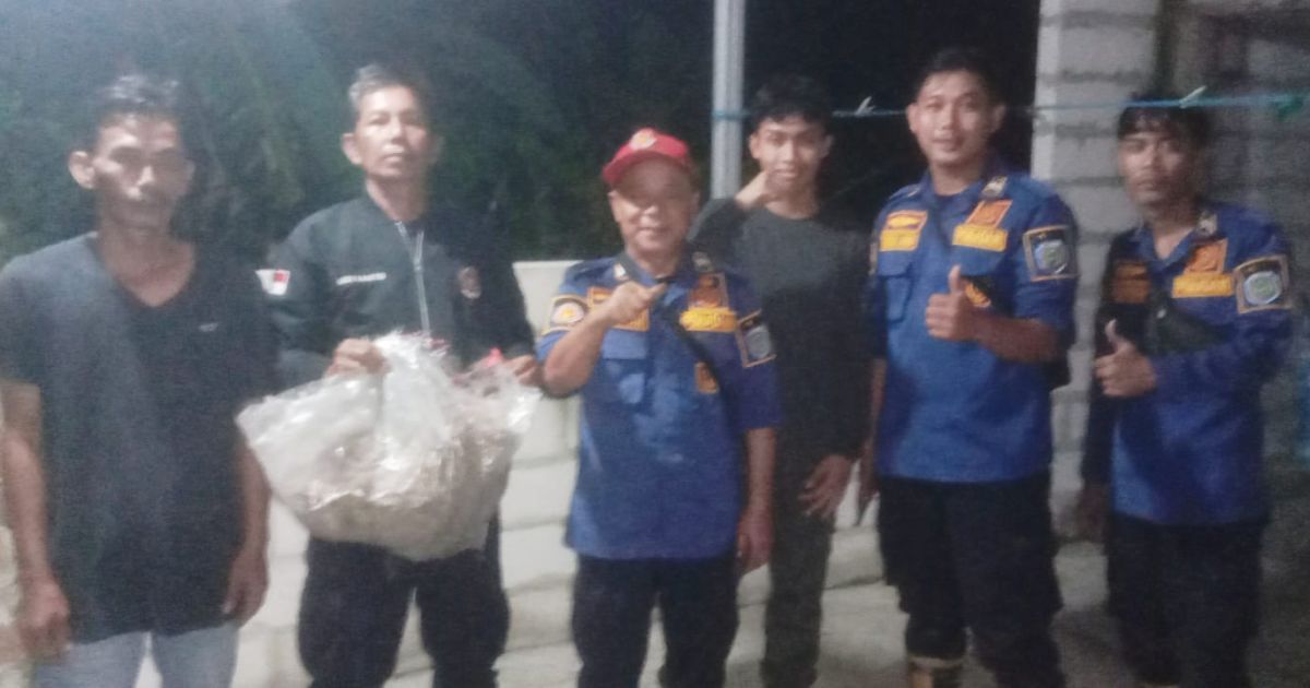 Damkar Indramayu Evakuasi Sarang Tawon Vespa Sebesar Bola di Bojongsari