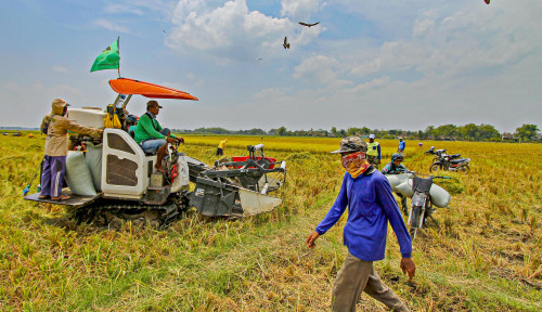 Menjelang Idulfitri, Pemerintah Jamin Pasokan Bahan Pokok Nasional Aman Terkendali