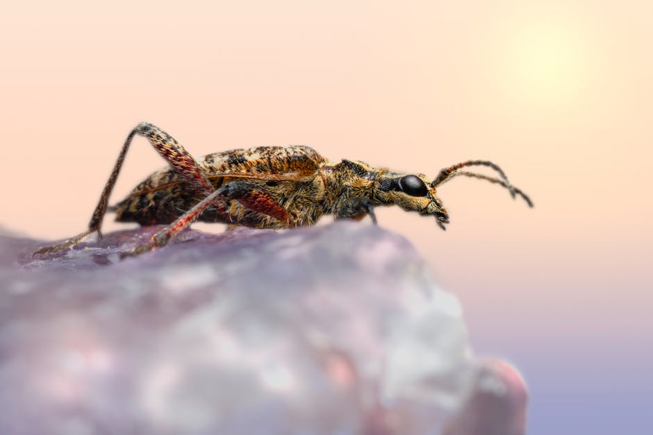 Strategi Zodiak Cancer: Menjaga Keseimbangan Emosi dan Proyeksi Karir