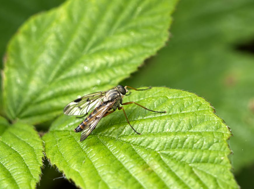 Panduan Energi Zodiak: Atur Kesehatan, Asmara, Keuangan, dan Karir Optimal